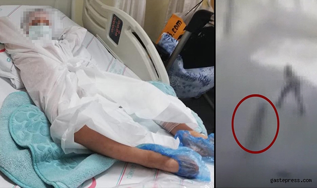 İzmir'de Pitbull dehşeti: Sahibi tasmayı bırakınca saldırdı!