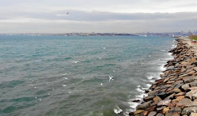 Kadıköy'de İSKİ'nin arıtma tesisinden bırakılan su denizin rengini değiştirdi!