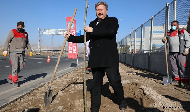 Kayseri Melikgazi Belediyesi Yenilenen OSB yolunda ağaçlandırma çalışması yaptı!
