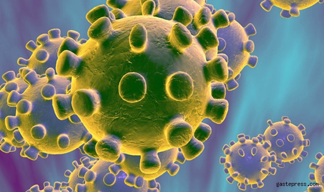 Türkiye 29 Aralık 2021 koronavirüs vaka ve ölü sayısı!