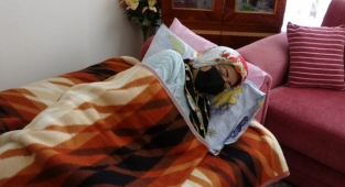 Antalya'da 2 pitbullun saldırısına uğrayarak ölümden dönen kadın: 'Gitti geldi tekrar ısırdı'