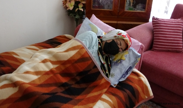 Antalya'da 2 pitbullun saldırısına uğrayarak ölümden dönen kadın: 'Gitti geldi tekrar ısırdı'