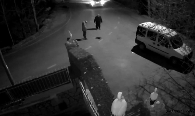 Kayseri'de çarptığı kediyi yolda bırakmadı!