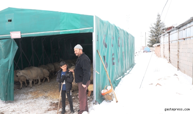 Kayseri Kocasinan Belediyesi, 18 büyükbaş ve 60 küçükbaş hayvanı son anda kurtardı!