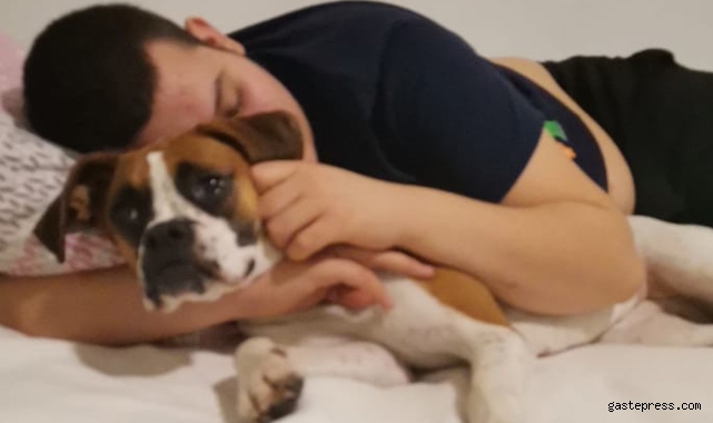 Üsküdar'da silahlı dehşet: Otizmli gencin köpeğini pitbull zannederek silahla vurdu!