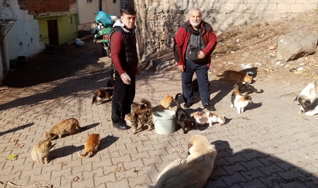 Diyarbakır'da sokak hayvanları için dernek kuruldu!