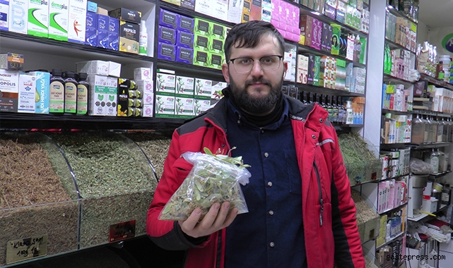 Ihlamurun kilosu 350 TL'den alıcı buluyor!