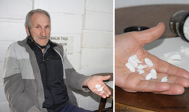 Balık taşı böbrek hastalarının ilgi odağı!