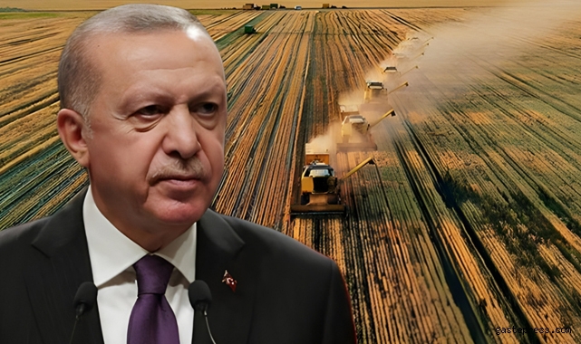 Cumhurbaşkanı Erdoğan müjdesini vermişti! 