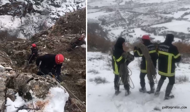 Uçuruma yuvarlanan keçi 6 saatte kurtarıldı!