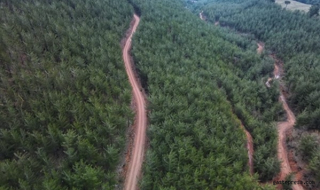 2022 yılı orman yangınları ile mücadele planı hazır!