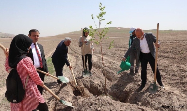Başkan Çolakbayrakdar, üniversite öğrencileriyle Vuslat Ormanına fidan dikti!