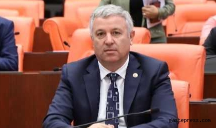 CHP Milletvekili Arık,  “Boş vaatlerle insanları oyalamayın"