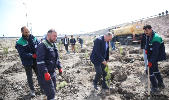 Kayseri Büyükşehir, Baharın gelmesi ile fidan dikimine başladı!