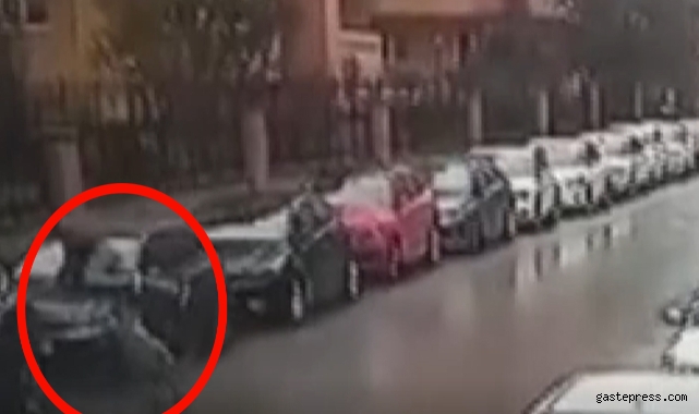Maltepe'de Pitbullun saldırdığı vatandaş otomobilin üzerine çıkarak canını kurtardı!