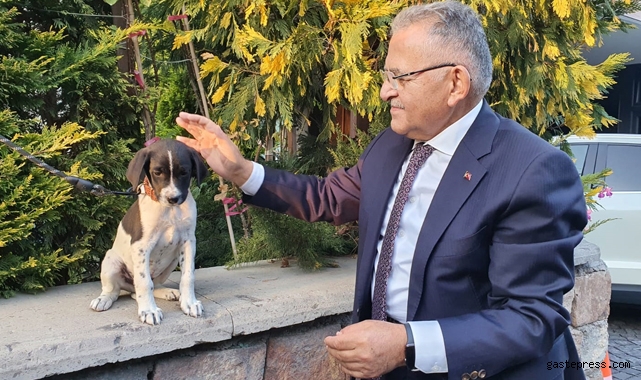 Memduh Başkan: "Sokak Hayvanlarımız İçin Yeni ve Modern Barınak Yapacağız"