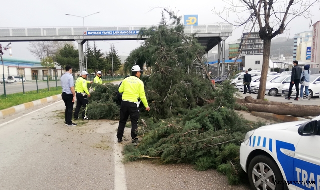 Tokat’ta fırtına hayatı olumsuz etkiledi!