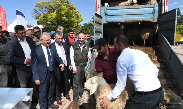 Başkan Büyükkılıç, 13 milyon TL'lik projede 3 bin 200 adet küçükbaş hayvan dağıttı!