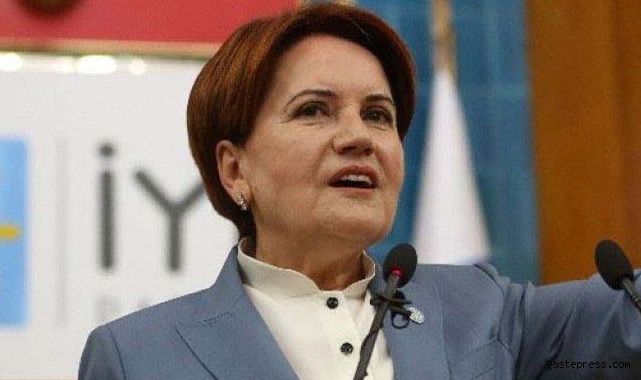 Meral Akşener'den bomba Suriyeli araştırması!