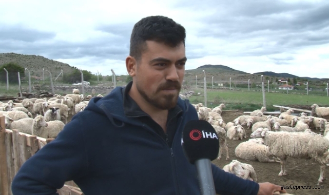 Yaklaşan Kurban Bayramı öncesi kurbanlık fiyatları konuşulmaya başladı!