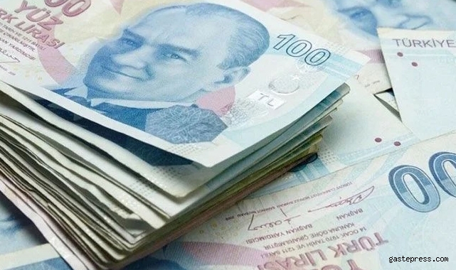 10 soruda 'gelire endeksli devlet iç borçlanma senedi' başvuru nasıl olacak?