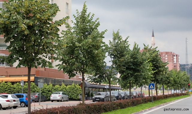 Bu Kış Ihlamurlar Talas Belediyesi'nden!