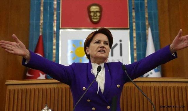 Meral Akşener'den TÜİK yönetimine 'Şerefinizle istifa edin' çağrısı Hazine Bakanı Nebati'ye 'bostan korkuluğu musun?'