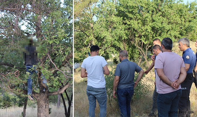 Mesire alanında kan donduran görüntü!