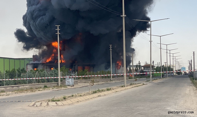 Niğde'de yağ fabrikasında yangın: Dumanlar gökyüzünü kapladı!