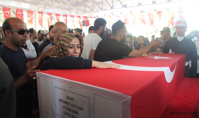 Şehit ablasından yürek dağlayan feryat!