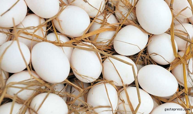 Yumurtada sıkıntı büyük! 38 liraya mal olan yumurta 28 liradan satılıyor!