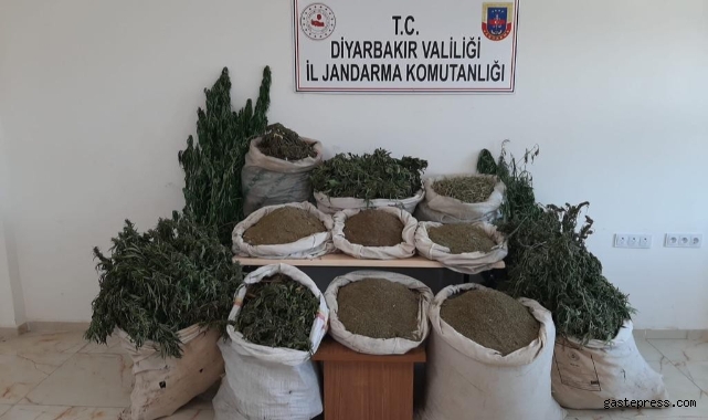 İçişleri Bakanlığı duyurdu: ‘2 milyonu aşkın kök kenevir ele geçirildi!