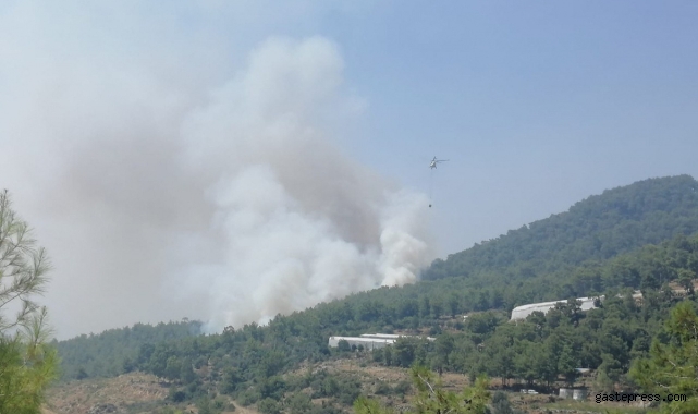 Mersin'de orman yangınına 2 uçak ve 5 helikopterle müdahale ediliyor!