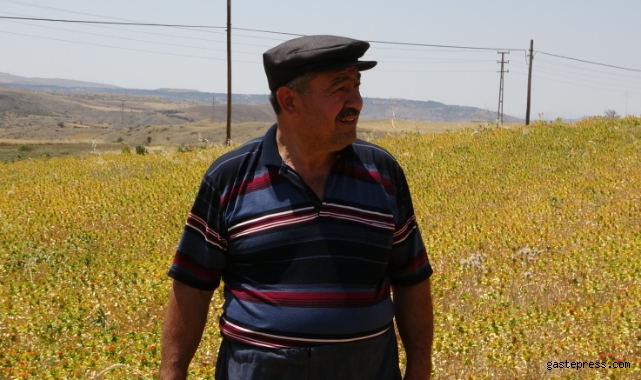 “Anız yangınında hayvanlar ölüyor ve toprağın yapısı değişiyor”