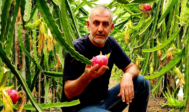'Batarsın' diyenleri dinlemedi şimdi servet kazanıyor!