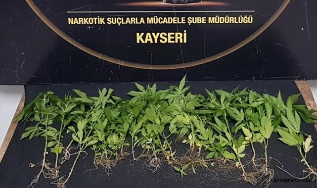 Kayseri'de 1 ayda 143 kişiye uyuşturucudan işlem yapıldı!
