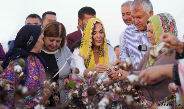 Türkan Şoray,  Pamuğun Sultanı oldu!