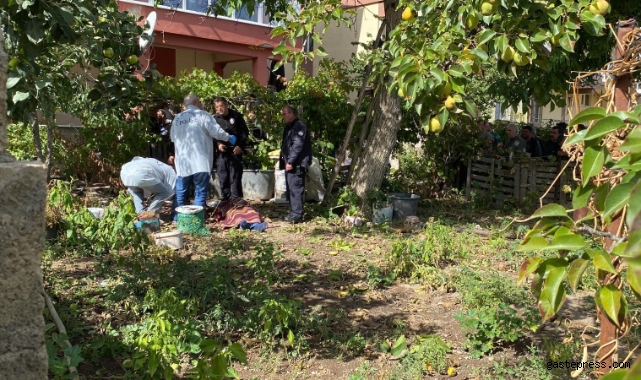 Ceviz ağacından düşen şahıs hayatını kaybetti!