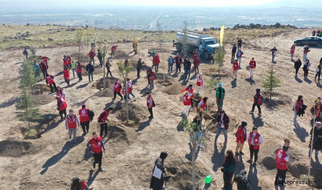 Kayseri Kocasinan Belediyesi, Kızılay Haftası’nı ağaçlarla taçlandırdı!