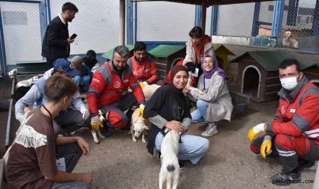 Kayseri Kocasinan, Gençlere hayvan sevgisi aşılıyor!