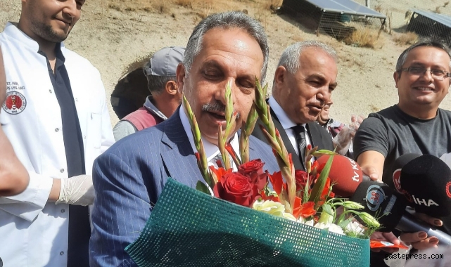 Kayseri Talas’ta, hayvan mezarlığı kurulacak!