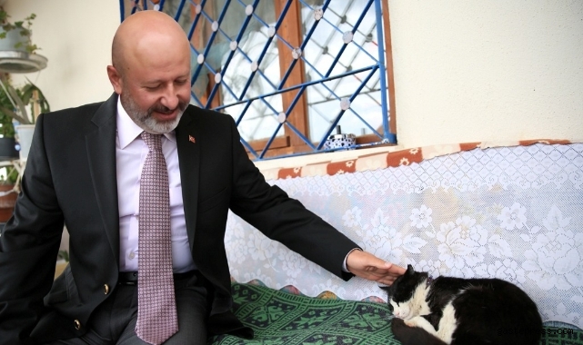 Yakut Mahallesi’ne kedi kasabası projesi!