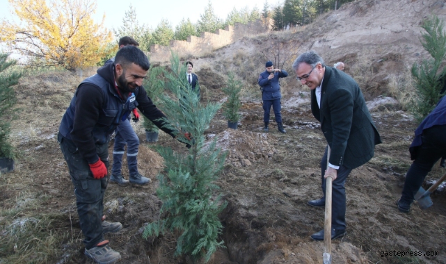 Kayseri Hacılar'da bin 111 Fidan Toprakla Buluştu!