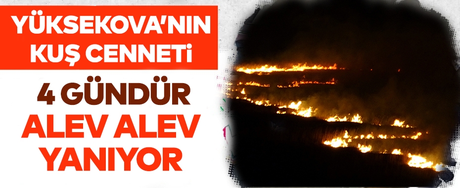 Yüksekova'nın kuş cenneti 4 gündür alev alev yanıyor!