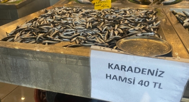 Denizlerde balık bolluğu, hamsi 80 liradan 40’a düştü!