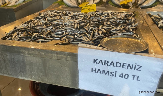 Denizlerde balık bolluğu, hamsi 80 liradan 40’a düştü!