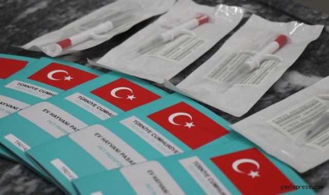 Ev hayvanlarının dijital kimliklendirilmesi için son iki gün!