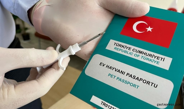 Evcil hayvanlara mikroçip uygulamasında zaman daralıyor!