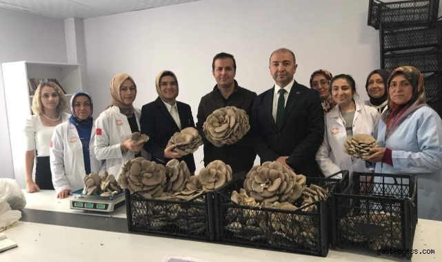 Kadınlar Tarafından Üretilen İstiridye Mantarının İlk Hasadı Yapıldı!