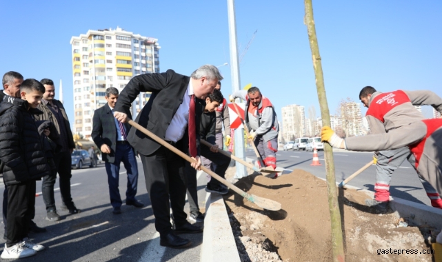 Kayseri Melikgazi Belediyesi ilçeyi devasa ağaçlarla yeşillendirmeye devam ediyor!